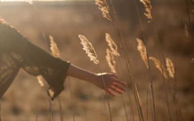 Cultivate a Feminine Presence