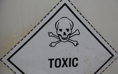 Co-opting the Power of the Toxic Boss