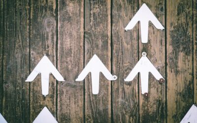 4 Traits That Fuel Success